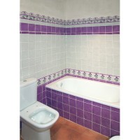 Baños 2