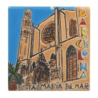 Imanes Ref. CA-785-023